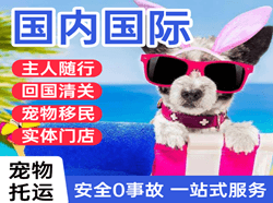 长水机场货运国际宠物托运 【国
